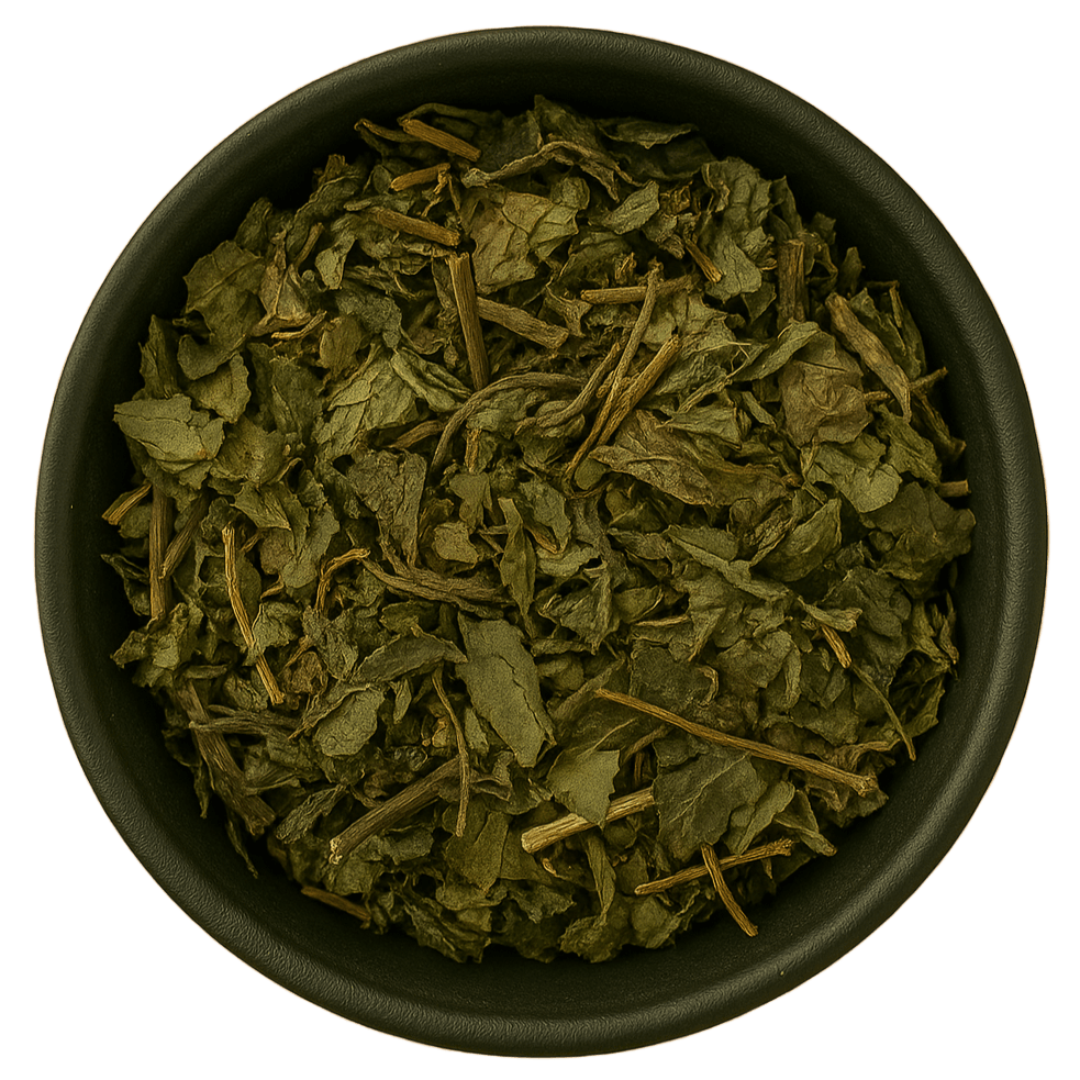  (Background Removed)