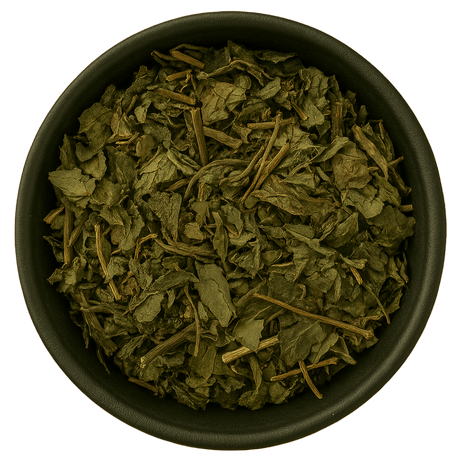  (Background Removed)