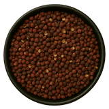  (Background Removed)