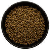 Sicklepod Seed Whole (Cassia Obtusifolia) (Background Removed)