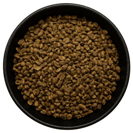 Sicklepod Seed Whole (Cassia Obtusifolia) (Background Removed)