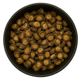  (Background Removed)