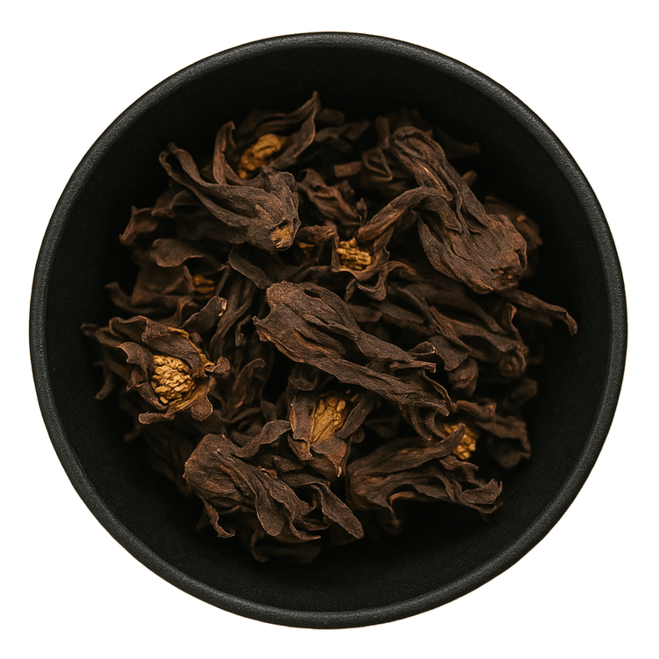  (Background Removed)