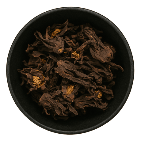  (Background Removed)