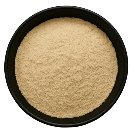  (Background Removed)