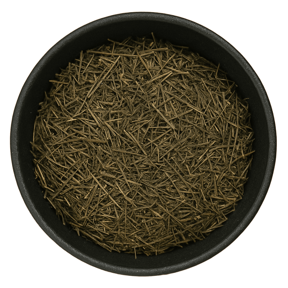  (Background Removed)