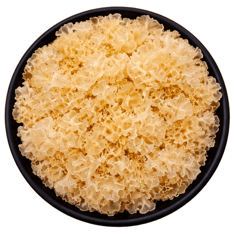  (Background Removed)