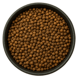  (Background Removed)