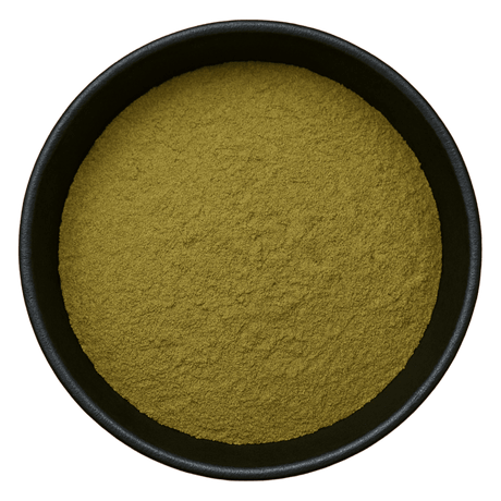  (Background Removed)