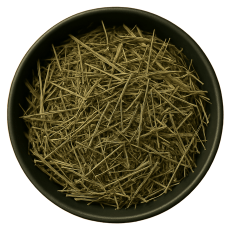  (Background Removed)