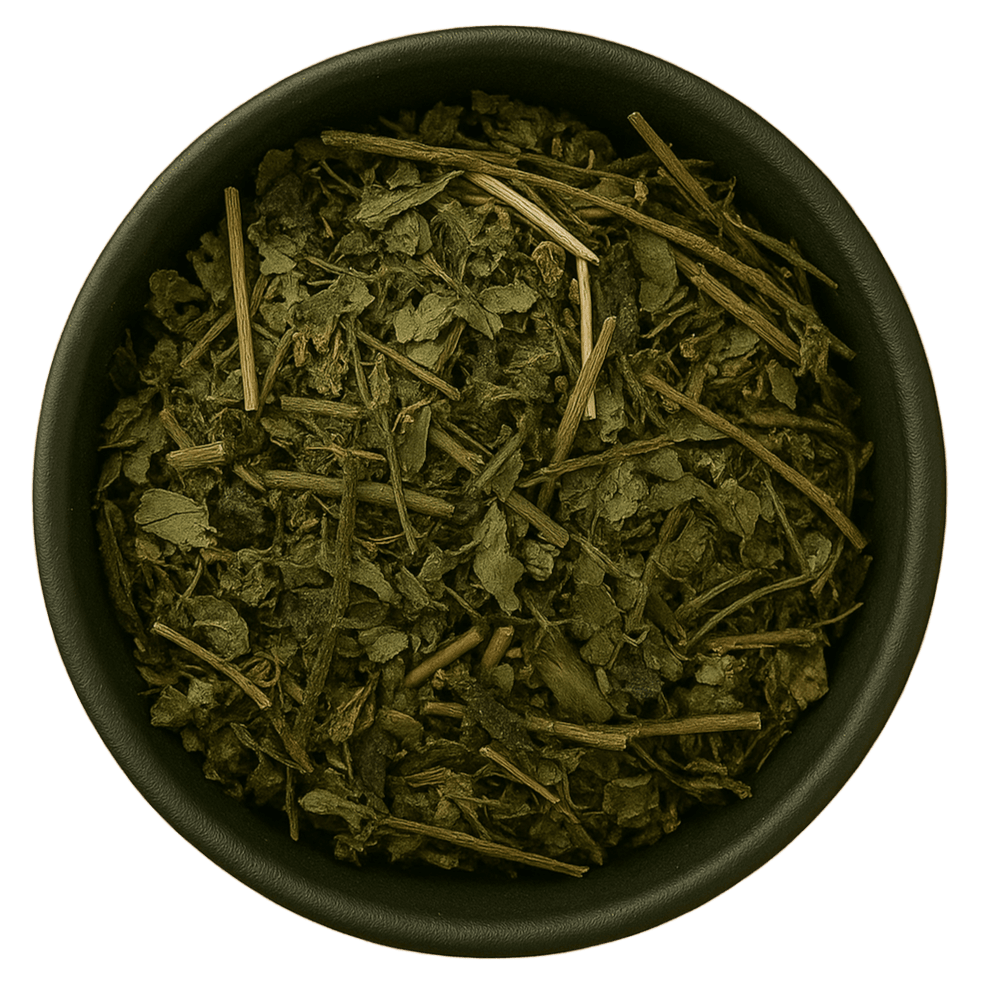  (Background Removed)