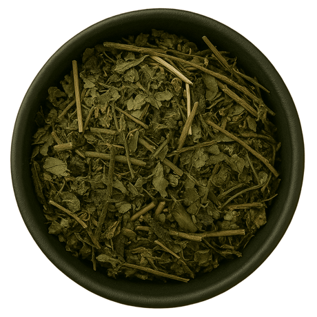  (Background Removed)