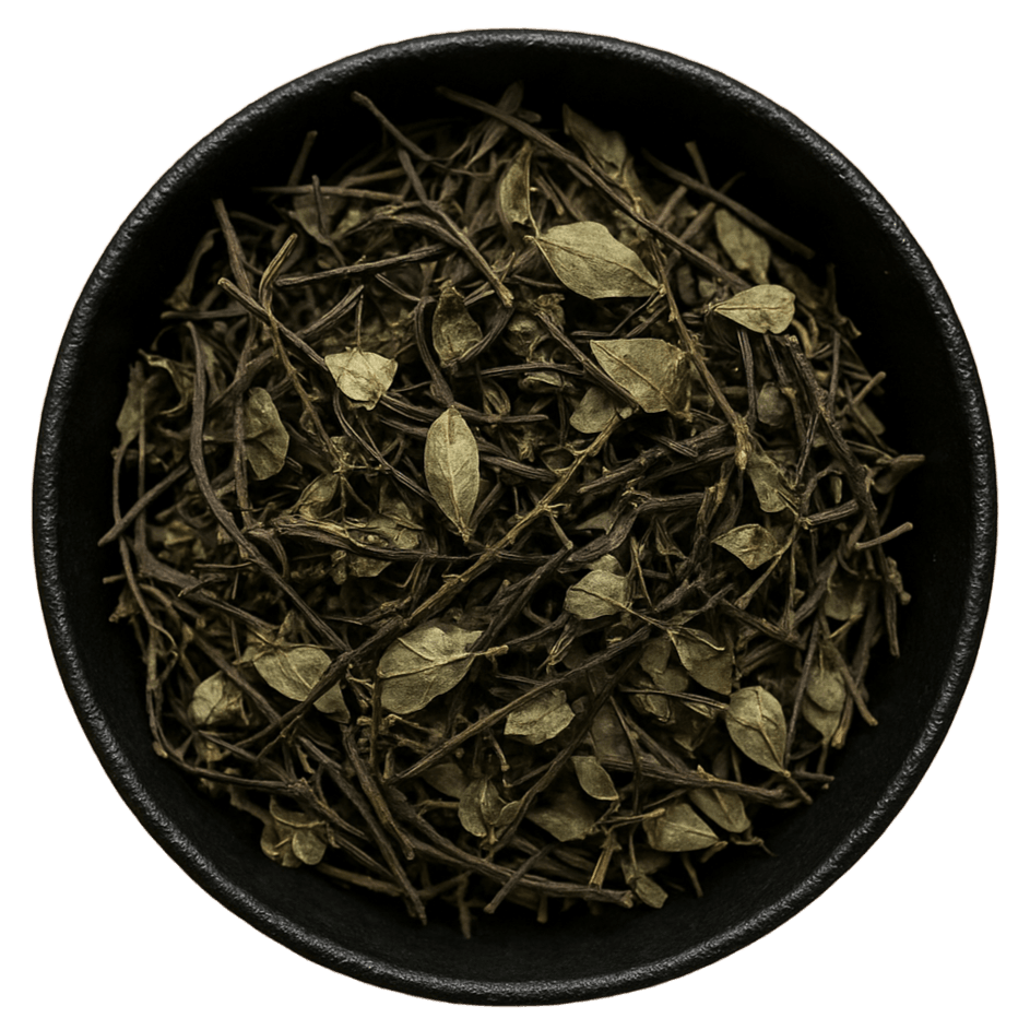  (Background Removed)