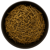  (Background Removed)