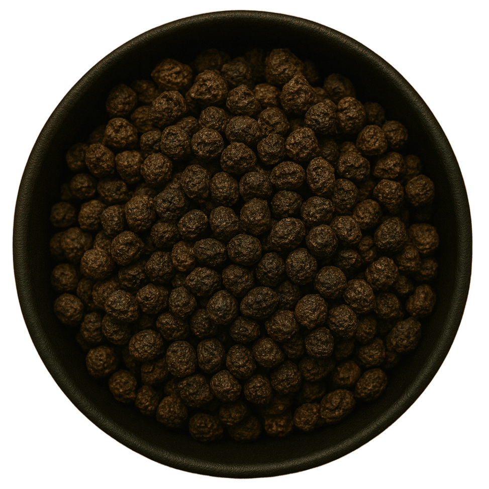  (Background Removed)