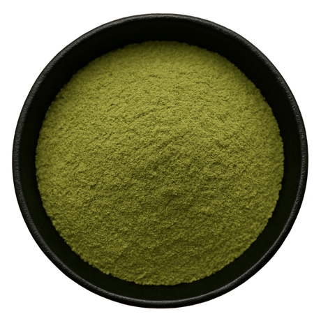  (Background Removed)