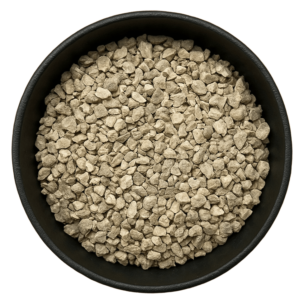  (Background Removed)