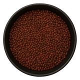  (Background Removed)