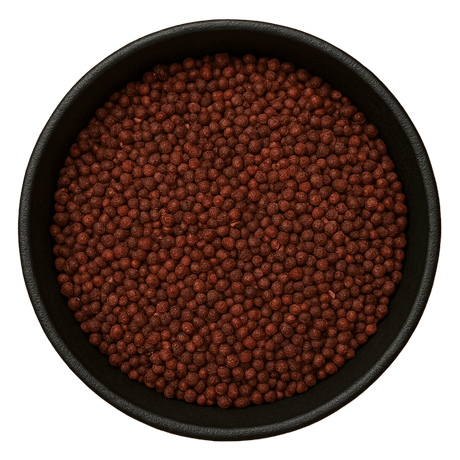  (Background Removed)