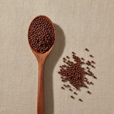 Sumac Berries Whole (Rhus Glabra) | Create a luxurious, photorealistic product photograph featuring the original product naturally arranged in an elegant handcrafted wooden spoon on a soft, finely