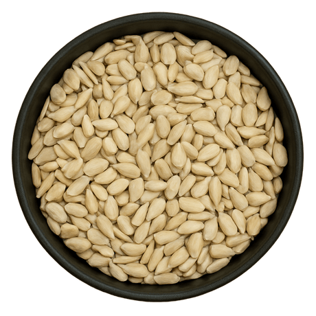  (Background Removed)