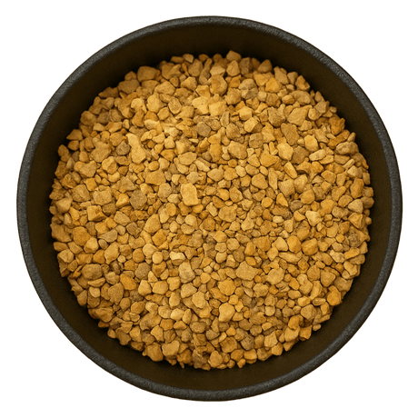  (Background Removed)