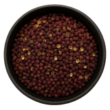  (Background Removed)