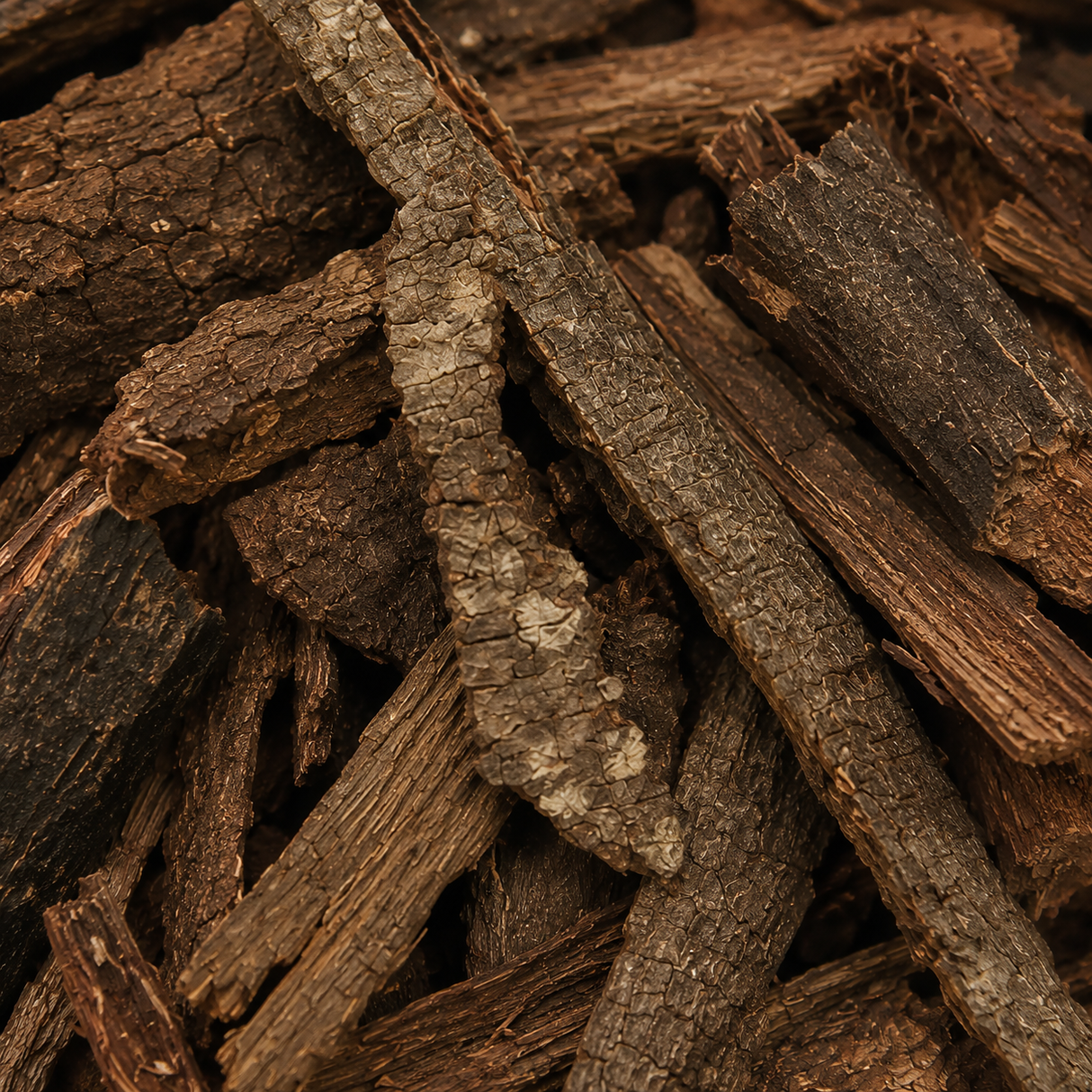 Tepezcohuite Bark Pieces (Mimosa Tenuiflora)