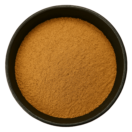  (Background Removed)