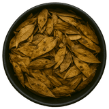  (Background Removed)