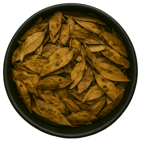  (Background Removed)