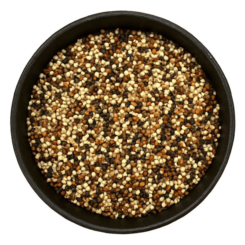  (Background Removed)