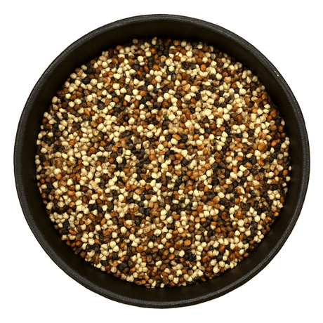  (Background Removed)