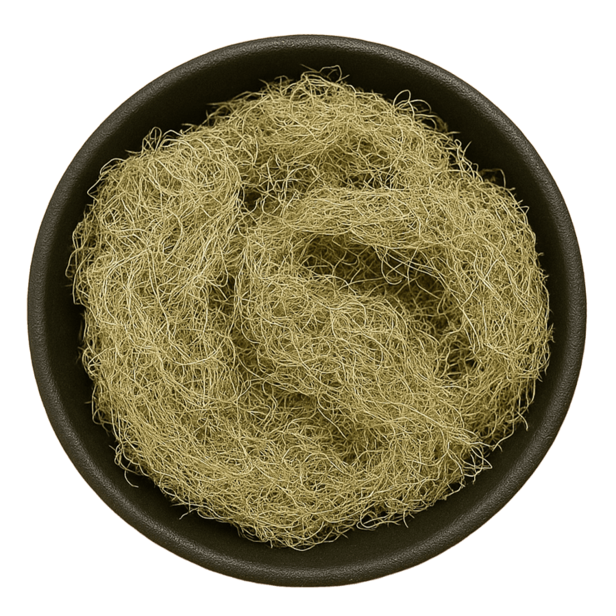  (Background Removed)