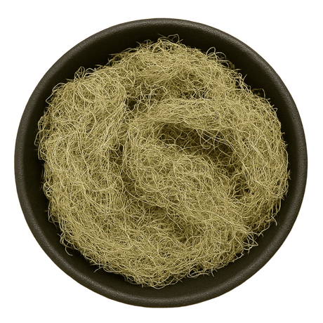  (Background Removed)