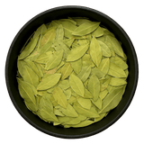  (Background Removed)