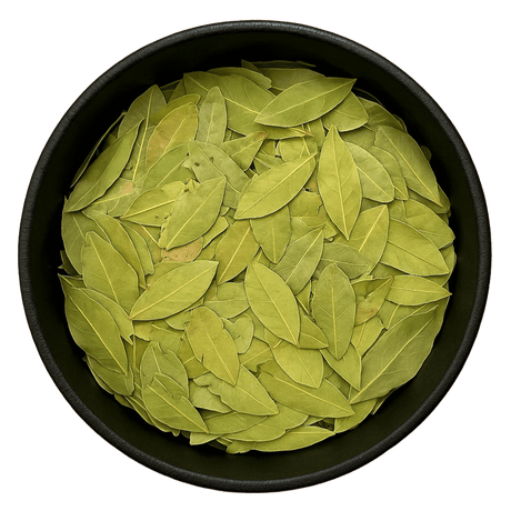  (Background Removed)