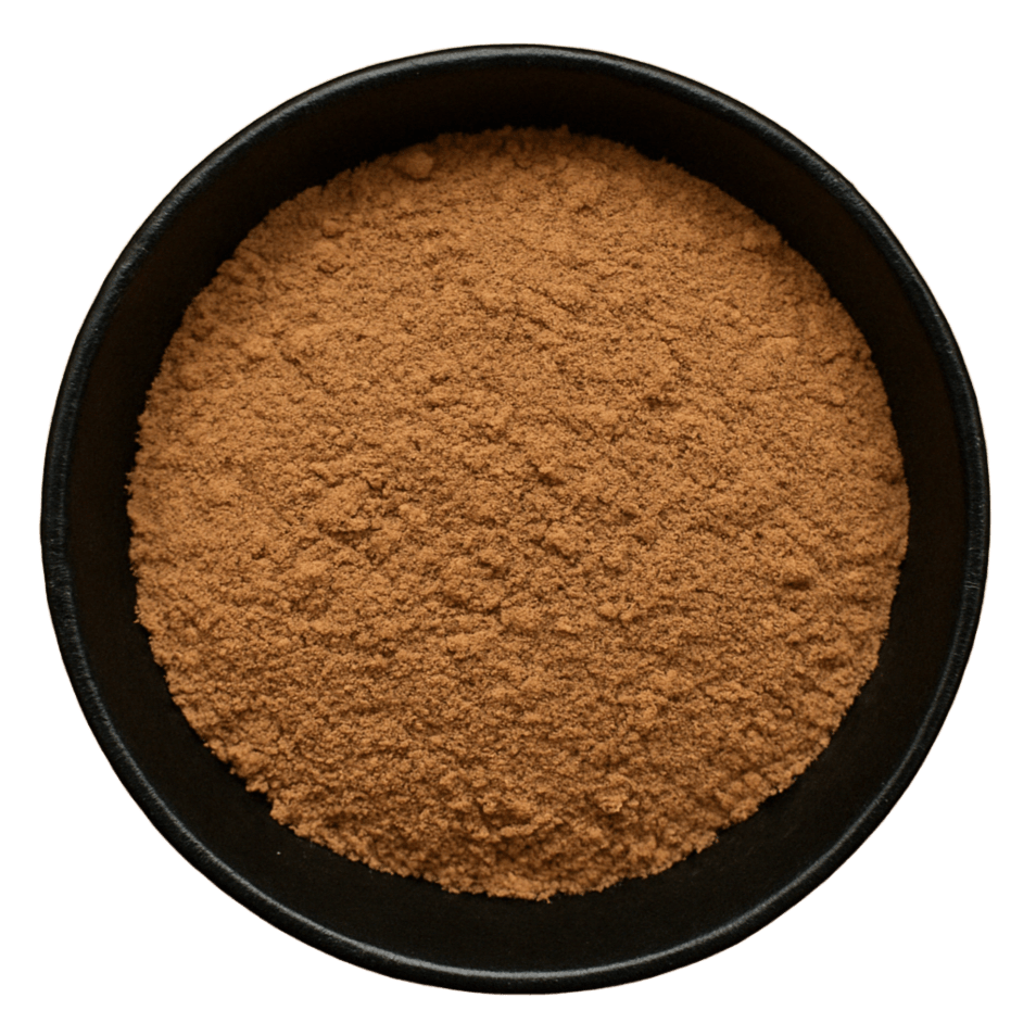  (Background Removed)