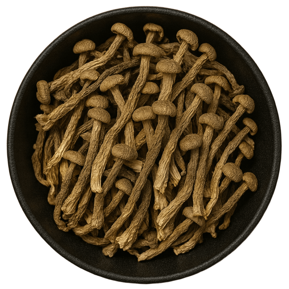  (Background Removed)