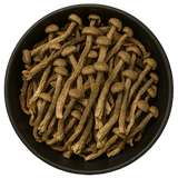  (Background Removed)