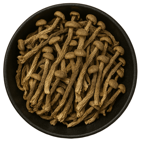  (Background Removed)