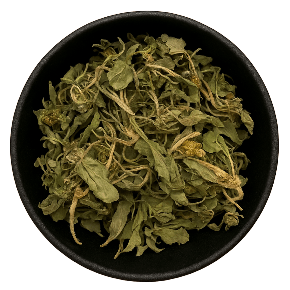  (Background Removed)