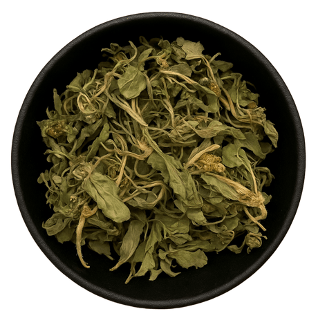  (Background Removed)