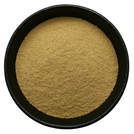  (Background Removed)