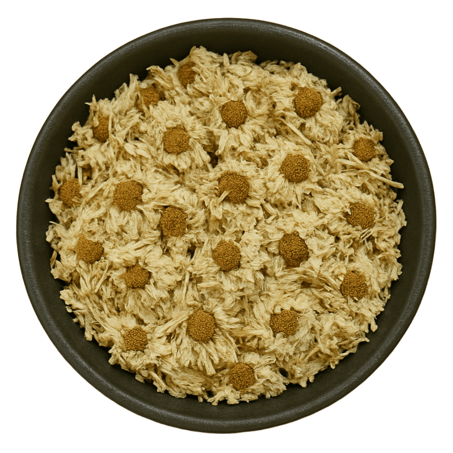  (Background Removed)