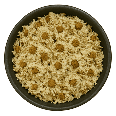  (Background Removed)