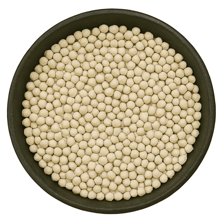  (Background Removed)