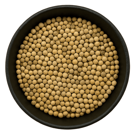  (Background Removed)