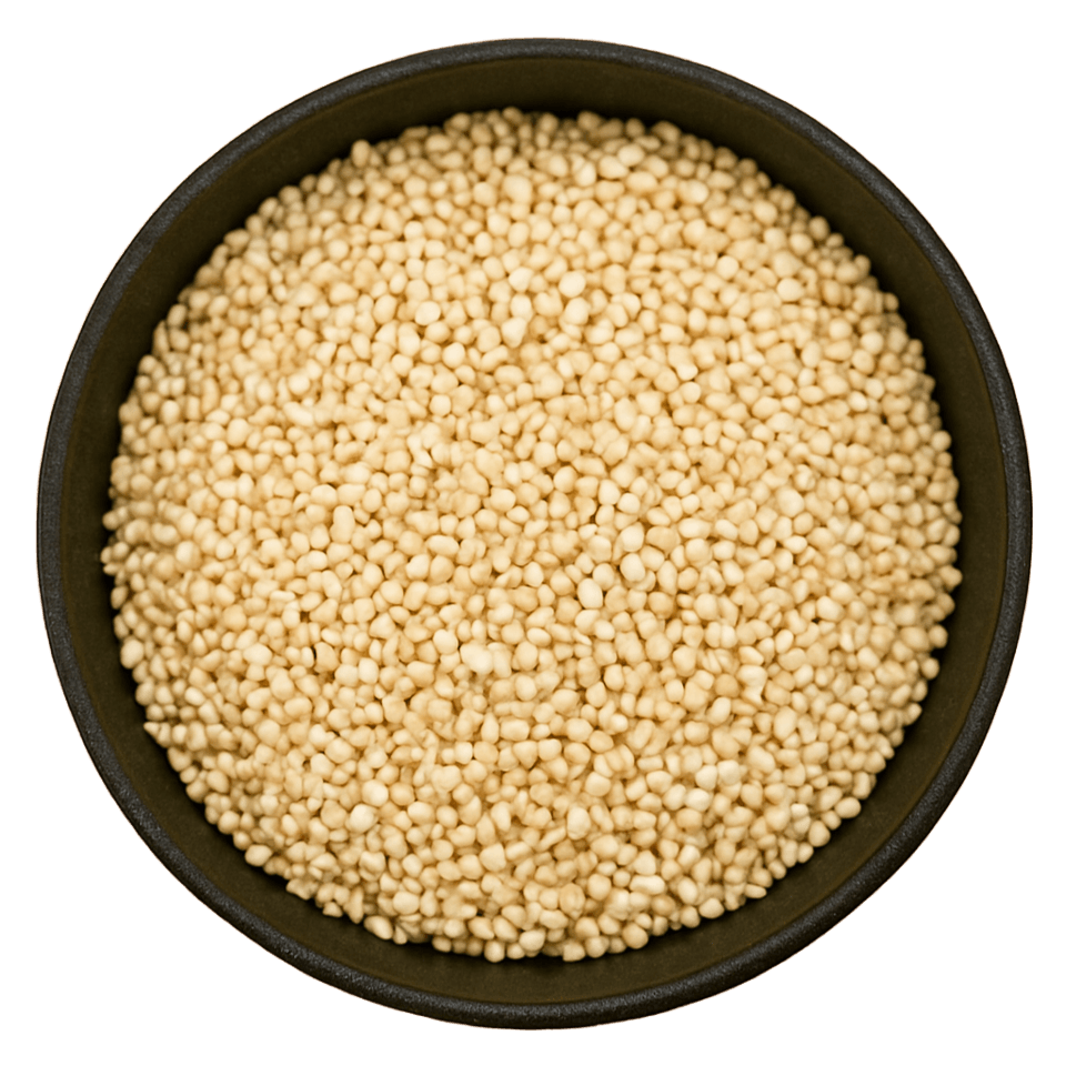  (Background Removed)