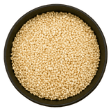  (Background Removed)